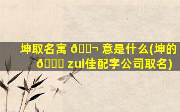 坤取名寓 🐬 意是什么(坤的 🕊 zui
佳配字公司取名)